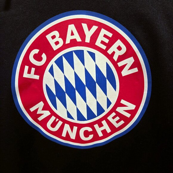 FC Bayern Munchen Hoodie Blue Sweatshirt Pullover Soccer Futbol Mens Small - Picture 2 of 8